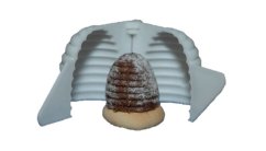 hnízdo úlek 1ks střední