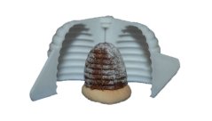 hnízdo úlek 1ks střední